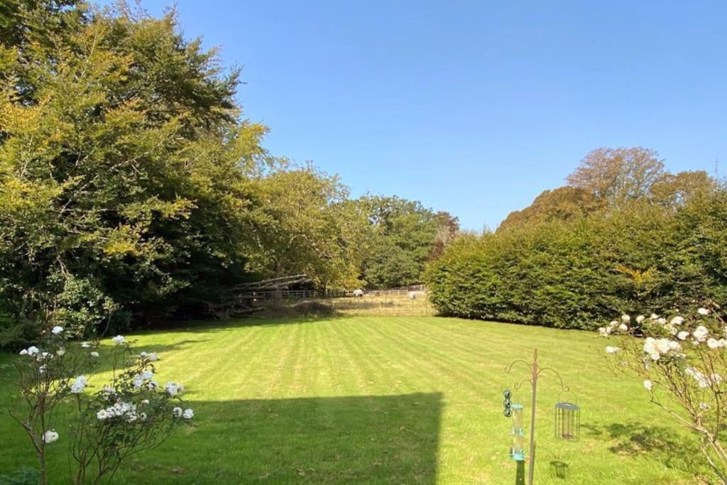 The Dower House At Parnham Park Villa Beaminster Esterno foto